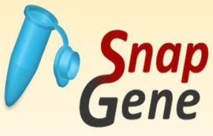 SnapGene 5.3.2 Crack With Serial Key Free Download 2022